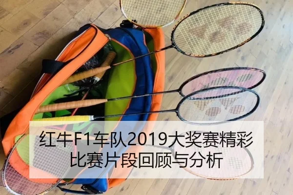 红牛F1车队2019大奖赛精彩比赛片段回顾与分析
